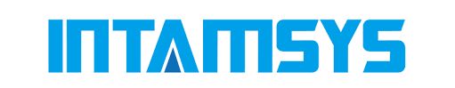Assistenza stampanti Intamsys
